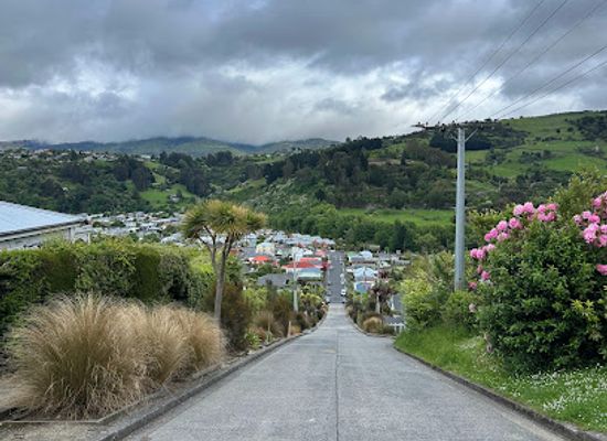 new-zealand/otago/landmark/baldwin-street-the-steepest-street-in-the-world