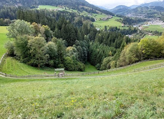 austria/pongau/landmark/bogen-jagd-alpendorf