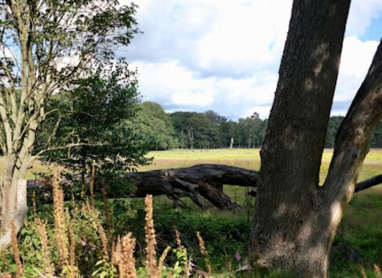 netherlands/veluwe/landmark/bezoekerscentrum-het-aardhuis