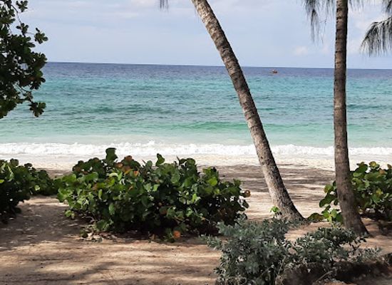 barbados/christ-church/landmark/miami-beach