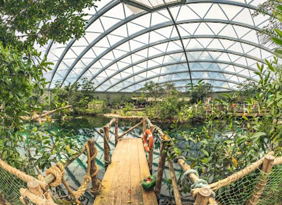 netherlands/arnhem/landmark/burgers-mangrove