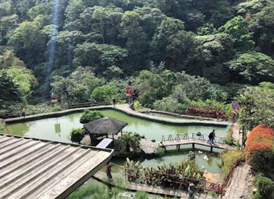 philippines/baguio/landmark/ifugao-woodcarvers-village