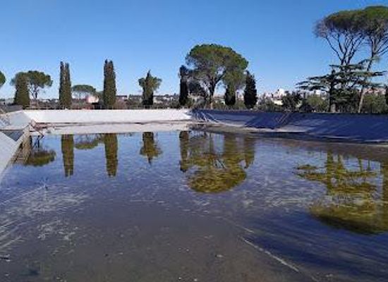spain/madrid/landmark/el-repartidor-pond