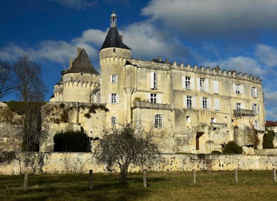 france/aquitaine/landmark/castle-of-jonzac