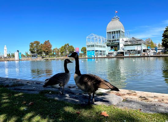 canada/montreal/old-montreal/landmark/vieux-port-de-montreal