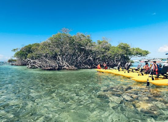 puerto-rico/big-island/landmark/cayo-caracoles