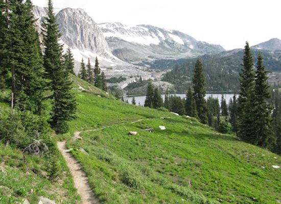 wyoming/albany-county/landmark/medicine-bow-routt-national-forests-and-thunder-basin-national-grassland