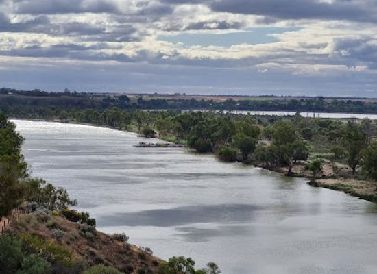 australia/riverland/landmark/waikerie-silo-art