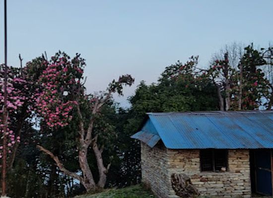 nepal/gandaki-province/landmark/tara-hill-top
