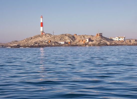 namibia/luderitz/landmark/penguin-catamaran-tours