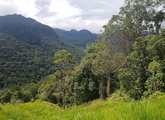 papua-new-guinea/morobe-region/landmark/owers-corner