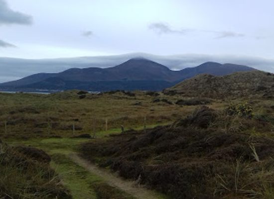 ireland/mourne-mountains/landmark/national-trust-murlough-national-nature-reserve