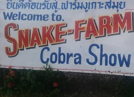 thailand/samui-archipelago/landmark/snake-farm-ko-samui