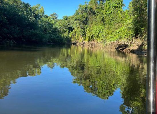 australia/daintree-rainforest/landmark/solar-whisper-wildlife-and-crocodile-cruises-on-the-daintree-river
