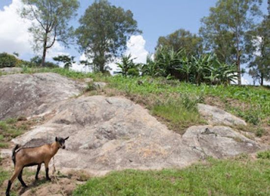 rwanda/karisimbi-volcano/landmark/the-rock-of-kamegeri
