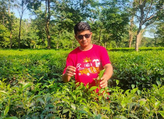 bangladesh/jaflong/landmark/jaflang-cha-bagan