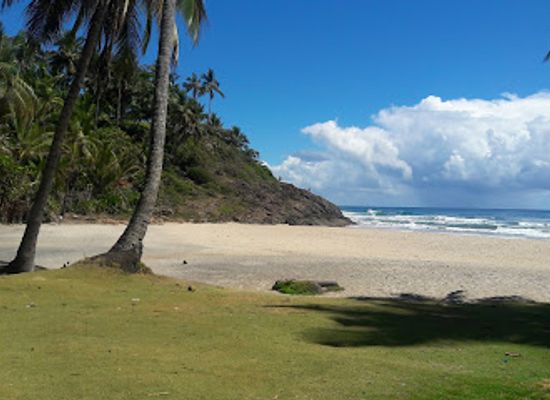 brazil/itacare/landmark/conduru-arvorismo