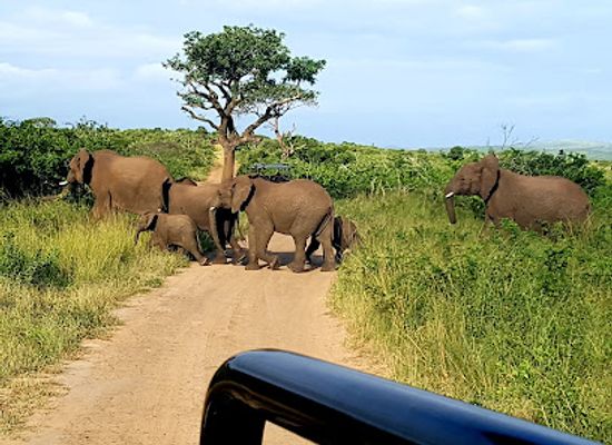 south-africa/zululand/landmark/hluhluwe-imfolozi-park