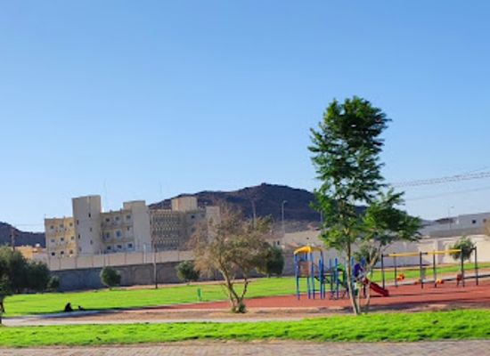 saudi-arabia/hail/landmark/castle-park