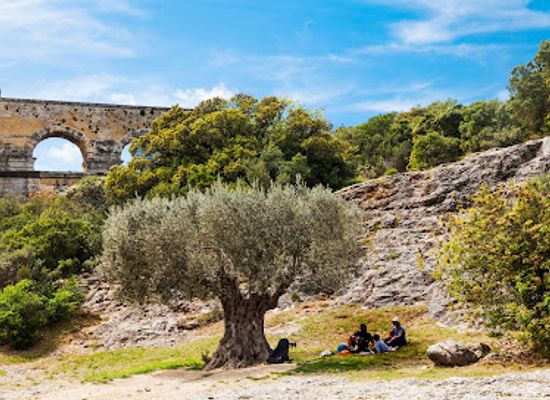 france/cote-des-blancs/landmark/pont-du-gard