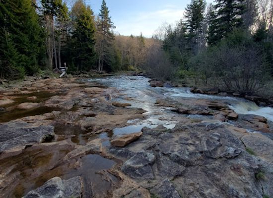 west-virginia/dolly-sods-wilderness/landmark/blackbird-knob-trailhead