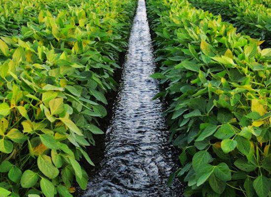 mississippi/the-loess-hills/landmark/mississippi-s-lower-delta-partnership