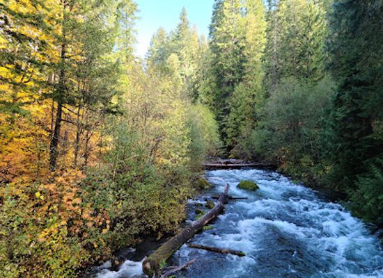 oregon/douglas-county/landmark/umpqua-hot-springs