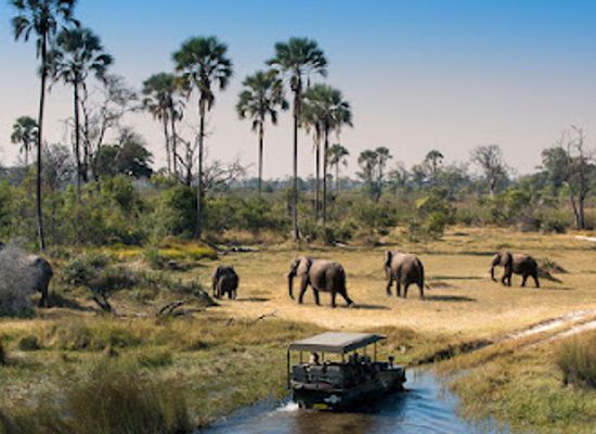tanzania/selous-game-reserve/landmark/nyerere-national-park