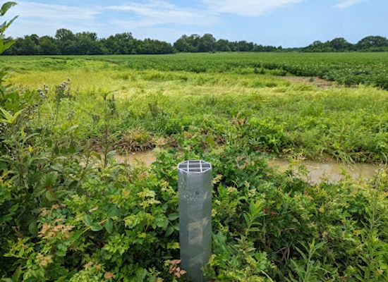 mississippi/the-river-region/landmark/mississippi-blues-trail-charley-patton-s-birthplace