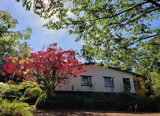 malawi/zomba/landmark/zomba-forest-lodge
