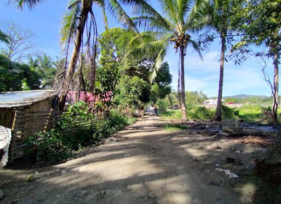 philippines/northern-mindanao/landmark/zamboanga-del-sur-lanao-del-norte-provincial-boundary-tukuran-sultan-naga-dimaporo-section