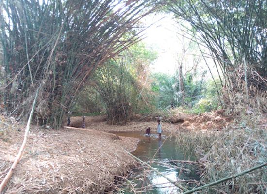 ghana/lake-volta/landmark/tafi-atome-monkey-sanctuary-and-cultural-village