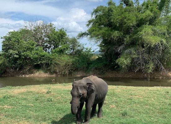 sri-lanka/cultural-triangle/landmark/sudath-safari-tours-sri-lanka