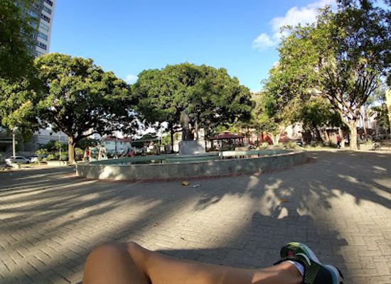 brazil/recife/landmark/praca-professor-fernando-figueira