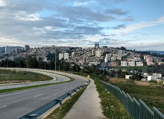 chile/vina-del-mar/landmark/plaza-anakena