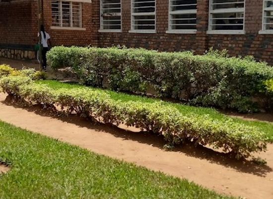 rwanda/nyagatare/landmark/cep-ur-nyagatare-campus