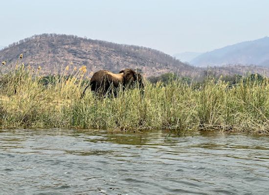 zambia/central-province/landmark/lower-zambezi-national-park