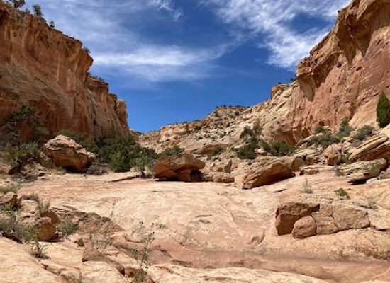utah/capitol-reef-national-park/landmark/burro-wash-slot-canyon