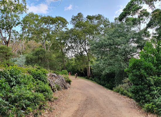 uruguay/sierra-de-los-caracoles/landmark/arboretum-lussich