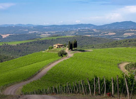 italy/val-d-orcia/landmark/castiglion-del-bosco-winery