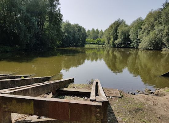 belgium/hainaut/landmark/archeosite-et-musee-d-aubechies-beloeil