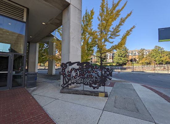 virginia/roanoke/landmark/hotel-roanoke-railcam-west