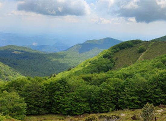 spain/montseny-natural-park/landmark/parc-natural-del-montseny