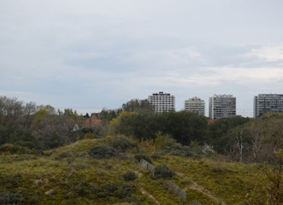 belgium/de-panne/landmark/oosthoekduinen