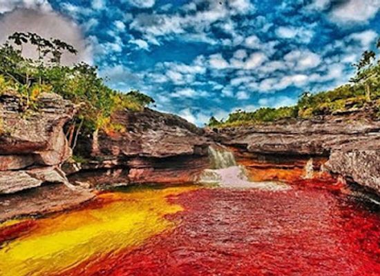 colombia/cano-cristales/landmark/parque-nacional-natural-serrania-de-la-macarena