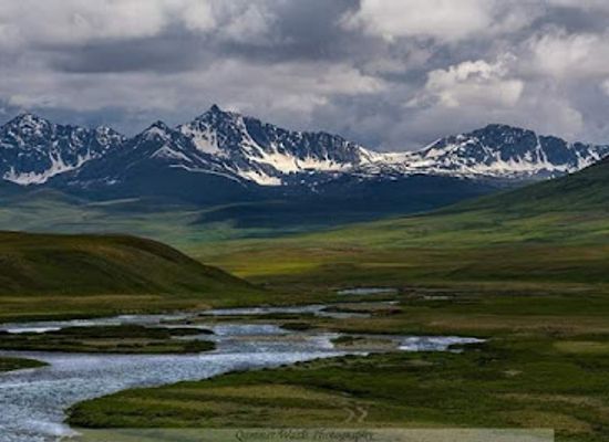 pakistan/northern-areas/landmark/deosai-national-park