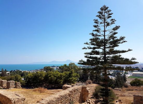 tunisia/the-dahar-mountains/landmark/national-museum-of-bardo
