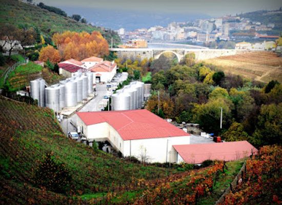 portugal/douro/landmark/best-of-douro-produtores-de-vinho
