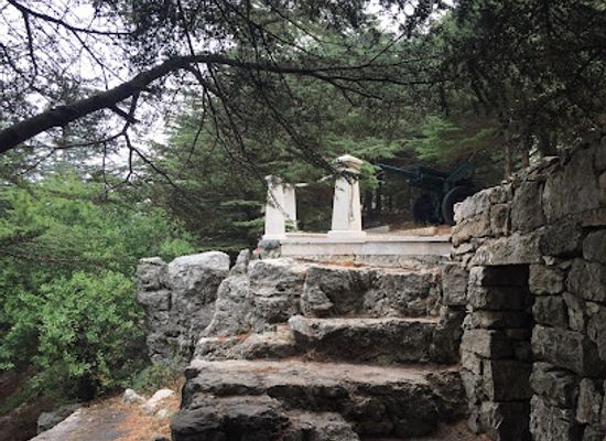 lebanon/al-shouf-cedar-nature-reserve/landmark/cedars-forest