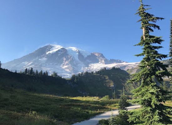 washington/mount-rainier-national-park/landmark/panorama-point-overlook